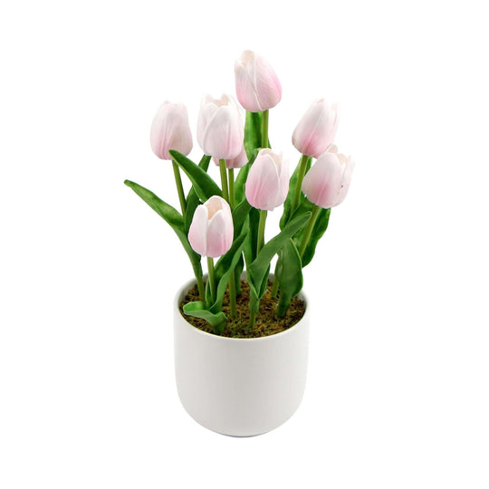 DSZ Product, feed-cond-new, feed-sl-DSZ Freight Payable, newFlowering Pink Artificial Tulip Plant Arrangement With Ceramic Bowl 35Cm - Premium Home & Garden > Artificial Plants > Artifical Flowers & Plants from DSZ ! Shop Online Buy Now at S & D's Value Store Family Business Best Customer ServiceDSZ Product, feed-cond-new, feed-sl-DSZ Freight Payable, new