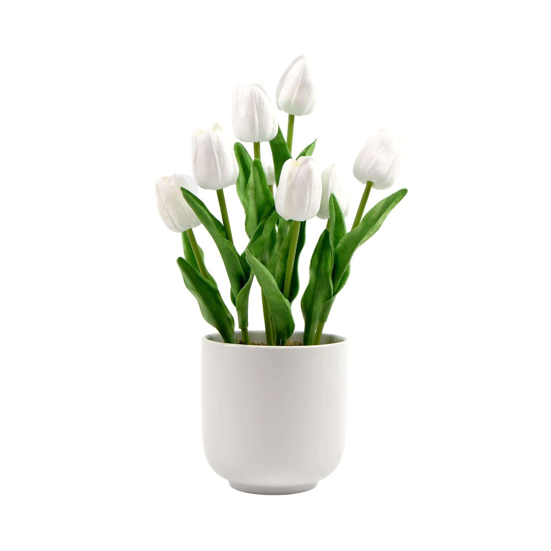 DSZ Product, feed-cond-new, feed-sl-DSZ Freight Payable, newFlowering White Artificial Tulip Plant Arrangement With Ceramic Bowl 35Cm - Premium Home & Garden > Artificial Plants > Artifical Flowers & Plants from DSZ ! Shop Online Buy Now at S & D's Value Store Family Business Best Customer ServiceDSZ Product, feed-cond-new, feed-sl-DSZ Freight Payable, new