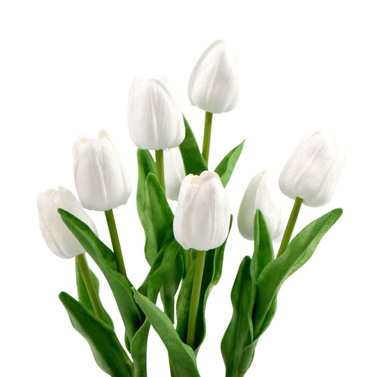 DSZ Product, feed-cond-new, feed-sl-DSZ Freight Payable, newFlowering White Artificial Tulip Plant Arrangement With Ceramic Bowl 35Cm - Premium Home & Garden > Artificial Plants > Artifical Flowers & Plants from DSZ ! Shop Online Buy Now at S & D's Value Store Family Business Best Customer ServiceDSZ Product, feed-cond-new, feed-sl-DSZ Freight Payable, new