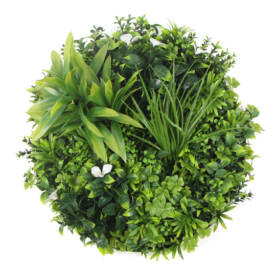 DSZ Product, feed-cond-new, feed-sl-DSZ Freight Payable, newFlowering White Artificial Green Wall Disc Uv Resistant 75Cm (White Frame) - Premium Home & Garden > Artificial Plants > Artifical Flowers & Plants from DSZ ! Shop Online Buy Now at S & D's Value Store Family Business Best Customer ServiceDSZ Product, feed-cond-new, feed-sl-DSZ Freight Payable, new