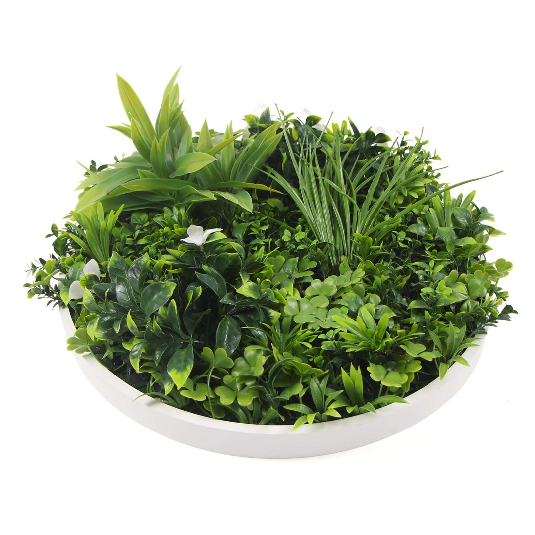 DSZ Product, feed-cond-new, feed-sl-DSZ Freight Payable, newFlowering White Artificial Green Wall Disc Uv Resistant 75Cm (White Frame) - Premium Home & Garden > Artificial Plants > Artifical Flowers & Plants from DSZ ! Shop Online Buy Now at S & D's Value Store Family Business Best Customer ServiceDSZ Product, feed-cond-new, feed-sl-DSZ Freight Payable, new