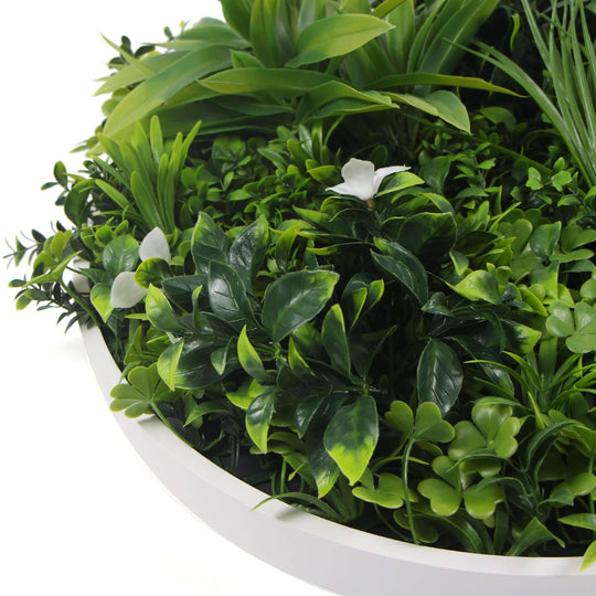 DSZ Product, feed-cond-new, feed-sl-DSZ Freight Payable, newFlowering White Artificial Green Wall Disc Uv Resistant 75Cm (White Frame) - Premium Home & Garden > Artificial Plants > Artifical Flowers & Plants from DSZ ! Shop Online Buy Now at S & D's Value Store Family Business Best Customer ServiceDSZ Product, feed-cond-new, feed-sl-DSZ Freight Payable, new