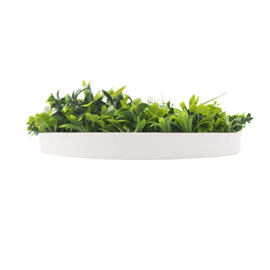 DSZ Product, feed-cond-new, feed-sl-DSZ Freight Payable, newFlowering White Artificial Green Wall Disc Uv Resistant 75Cm (White Frame) - Premium Home & Garden > Artificial Plants > Artifical Flowers & Plants from DSZ ! Shop Online Buy Now at S & D's Value Store Family Business Best Customer ServiceDSZ Product, feed-cond-new, feed-sl-DSZ Freight Payable, new