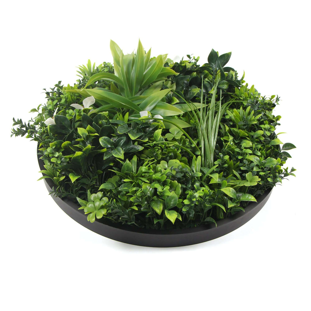 DSZ Product, feed-cond-new, feed-sl-DSZ Freight Payable, newFlowering White Artificial Green Wall Disc Uv Resistant 75Cm (Black Frame) - Premium Home & Garden > Artificial Plants > Artifical Flowers & Plants from DSZ ! Shop Online Buy Now at S & D's Value Store Family Business Best Customer ServiceDSZ Product, feed-cond-new, feed-sl-DSZ Freight Payable, new