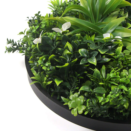 DSZ Product, feed-cond-new, feed-sl-DSZ Freight Payable, newFlowering White Artificial Green Wall Disc Uv Resistant 75Cm (Black Frame) - Premium Home & Garden > Artificial Plants > Artifical Flowers & Plants from DSZ ! Shop Online Buy Now at S & D's Value Store Family Business Best Customer ServiceDSZ Product, feed-cond-new, feed-sl-DSZ Freight Payable, new