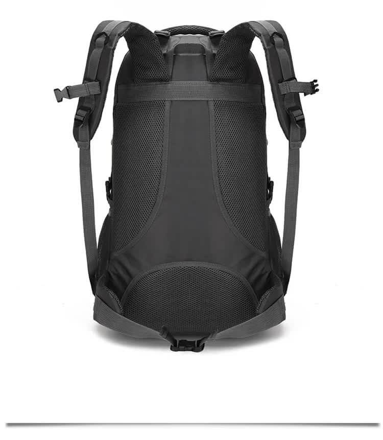 Back view of a durable 60L waterproof hiking backpack with ergonomic design and breathable mesh panel, ideal for outdoor adventures.