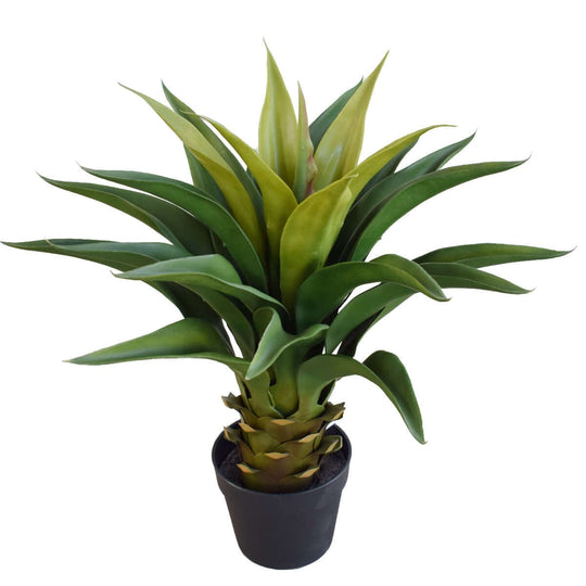 DSZ Product, feed-cond-new, feed-sl-DSZ Freight Payable, newAgave 60Cm Plant - Premium Home & Garden > Artificial Plants > Artifical Flowers & Plants from DSZ ! Shop Online Buy Now at S & D's Value Store Family Business Best Customer ServiceDSZ Product, feed-cond-new, feed-sl-DSZ Freight Payable, new