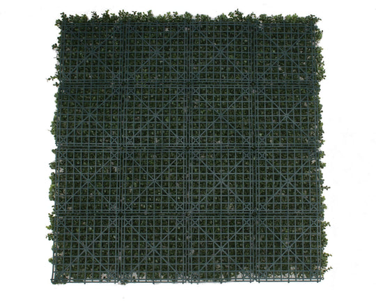 DSZ Product, feed-cond-new, feed-sl-DSZ Freight Payable, newPremium Natural Buxus Hedge Panels Uv Resistant 1M X 1M - Premium Outdoor Recreation > Camping > Caravan Accessories from DSZ ! Shop Online Buy Now at S & D's Value Store Family Business Best Customer ServiceDSZ Product, feed-cond-new, feed-sl-DSZ Freight Payable, new