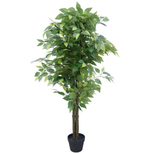 DSZ Product, feed-cond-new, feed-sl-DSZ Freight Payable, newArtificial Bushy Ficus Tree 145Cm - Premium Home & Garden > Artificial Plants > Artifical Flowers & Plants from DSZ ! Shop Online Buy Now at S & D's Value Store Family Business Best Customer ServiceDSZ Product, feed-cond-new, feed-sl-DSZ Freight Payable, new