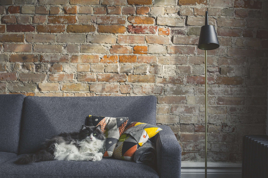 Cozy living room with a cat lounging on a sofa, colorful pillows, and a stylish lamp against a brick wall.