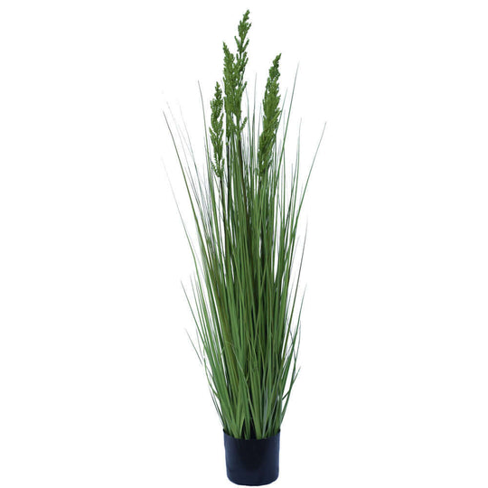 DSZ Product, feed-cond-new, feed-sl-DSZ Freight Payable, newFlowering Native Grass 120 Cm - Premium Home & Garden > Artificial Plants > Artifical Flowers & Plants from DSZ ! Shop Online Buy Now at S & D's Value Store Family Business Best Customer ServiceDSZ Product, feed-cond-new, feed-sl-DSZ Freight Payable, new