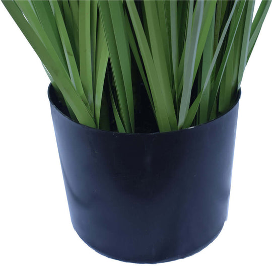 DSZ Product, feed-cond-new, feed-sl-DSZ Freight Payable, newFlowering Native Grass 120 Cm - Premium Home & Garden > Artificial Plants > Artifical Flowers & Plants from DSZ ! Shop Online Buy Now at S & D's Value Store Family Business Best Customer ServiceDSZ Product, feed-cond-new, feed-sl-DSZ Freight Payable, new