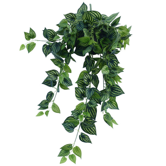 DSZ Product, feed-cond-new, feed-sl-DSZ Freight Payable, newBright Mixed Philodendron Garland Bush 100Cm - Premium Home & Garden > Artificial Plants > Artifical Flowers & Plants from DSZ ! Shop Online Buy Now at S & D's Value Store Family Business Best Customer ServiceDSZ Product, feed-cond-new, feed-sl-DSZ Freight Payable, new