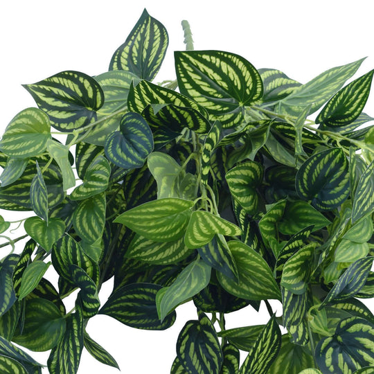 DSZ Product, feed-cond-new, feed-sl-DSZ Freight Payable, newBright Mixed Philodendron Garland Bush 100Cm - Premium Home & Garden > Artificial Plants > Artifical Flowers & Plants from DSZ ! Shop Online Buy Now at S & D's Value Store Family Business Best Customer ServiceDSZ Product, feed-cond-new, feed-sl-DSZ Freight Payable, new