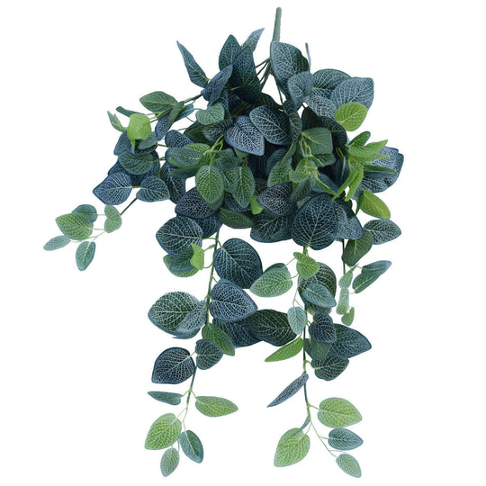 DSZ Product, feed-cond-new, feed-sl-DSZ Freight Payable, newArtificial Fittonia Hanging Garland Bush 80Cm - Premium Home & Garden > Artificial Plants > Artifical Flowers & Plants from DSZ ! Shop Online Buy Now at S & D's Value Store Family Business Best Customer ServiceDSZ Product, feed-cond-new, feed-sl-DSZ Freight Payable, new