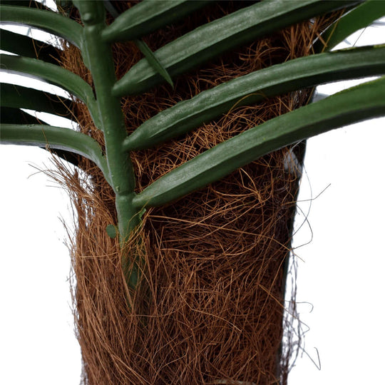 DSZ Product, feed-cond-new, feed-sl-DSZ Freight Payable, newTropical Phoenix Palm Tree 170Cm Uv Resistant - Premium Home & Garden > Artificial Plants > Artificial Trees from DSZ ! Shop Online Buy Now at S & D's Value Store Family Business Best Customer ServiceDSZ Product, feed-cond-new, feed-sl-DSZ Freight Payable, new