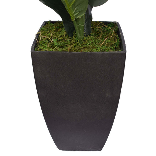 DSZ Product, feed-cond-new, feed-sl-DSZ Freight Payable, newDense Fiddle Leaf Fig Tree 70Cm - Premium Home & Garden > Bedding > Blankets & Throws from DSZ ! Shop Online Buy Now at S & D's Value Store Family Business Best Customer ServiceDSZ Product, feed-cond-new, feed-sl-DSZ Freight Payable, new