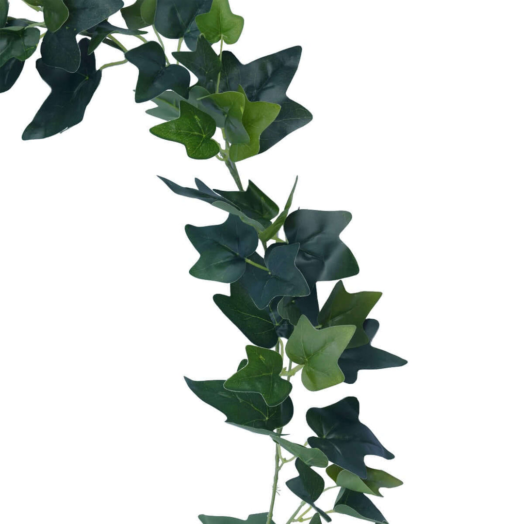 DSZ Product, feed-cond-new, feed-sl-DSZ Freight Payable, newLong Two - Tone Ivy Garland Uv 190Cm - Premium Home & Garden > Artificial Plants > Artifical Flowers & Plants from DSZ ! Shop Online Buy Now at S & D's Value Store Family Business Best Customer ServiceDSZ Product, feed-cond-new, feed-sl-DSZ Freight Payable, new