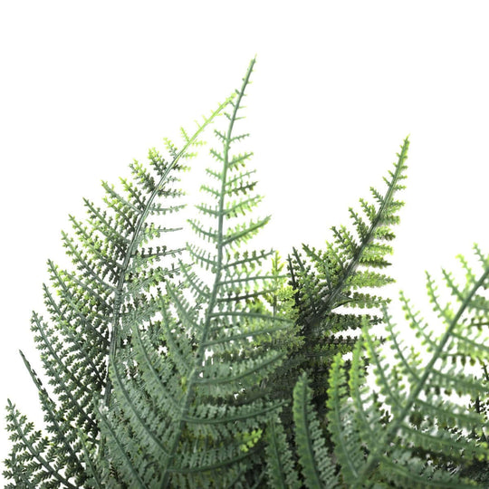 DSZ Product, feed-cond-new, feed-sl-DSZ Freight Payable, newPremium Artificial Australian Fern Uv Resistant 60Cm - Premium Home & Garden > Artificial Plants > Artifical Flowers & Plants from DSZ ! Shop Online Buy Now at S & D's Value Store Family Business Best Customer ServiceDSZ Product, feed-cond-new, feed-sl-DSZ Freight Payable, new