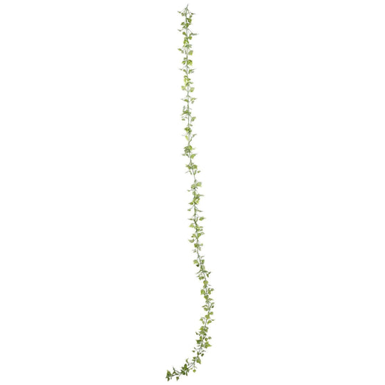 DSZ Product, feed-cond-new, feed-sl-DSZ Freight Payable, newArtificial Hanging English Ivy Garland Uv Resistant 200Cm - Premium Home & Garden > Artificial Plants > Artifical Flowers & Plants from DSZ ! Shop Online Buy Now at S & D's Value Store Family Business Best Customer ServiceDSZ Product, feed-cond-new, feed-sl-DSZ Freight Payable, new