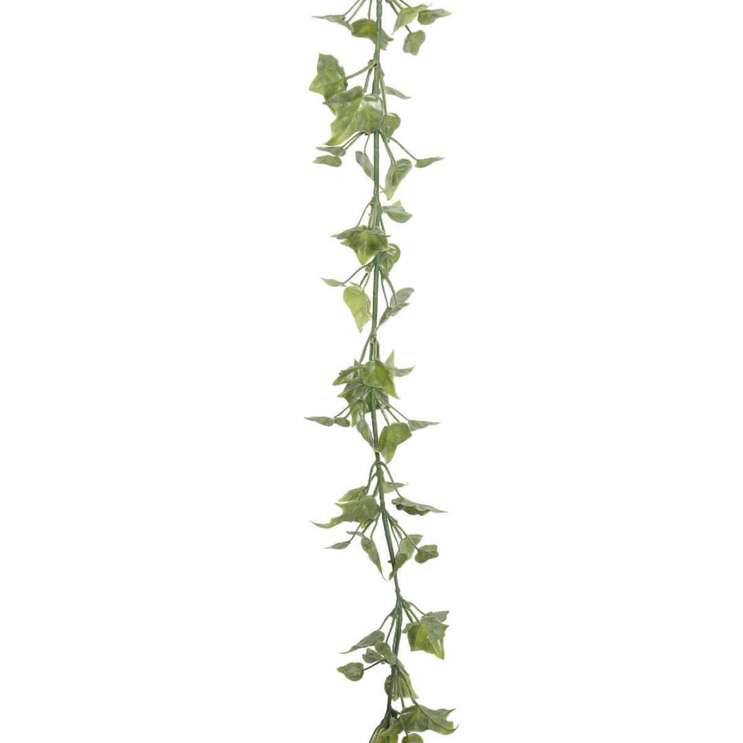 DSZ Product, feed-cond-new, feed-sl-DSZ Freight Payable, newArtificial Hanging English Ivy Garland Uv Resistant 200Cm - Premium Home & Garden > Artificial Plants > Artifical Flowers & Plants from DSZ ! Shop Online Buy Now at S & D's Value Store Family Business Best Customer ServiceDSZ Product, feed-cond-new, feed-sl-DSZ Freight Payable, new