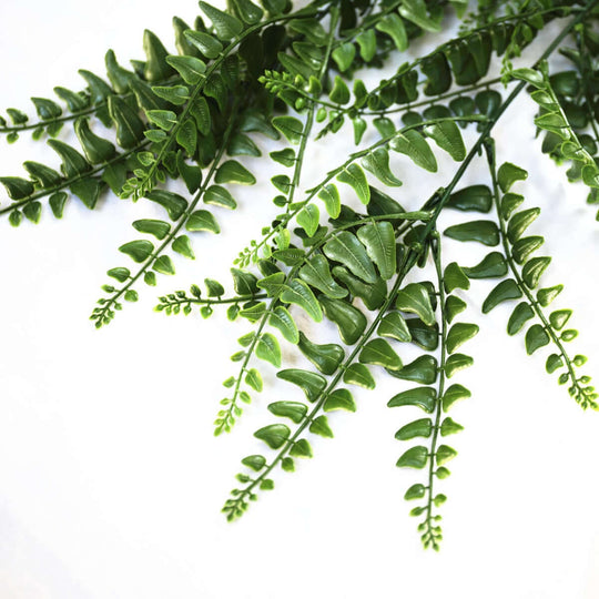 DSZ Product, feed-cond-new, feed-sl-DSZ Freight Payable, newUv Resistant Dense Hanging Fern 90Cm - Premium Home & Garden > Artificial Plants > Artifical Flowers & Plants from DSZ ! Shop Online Buy Now at S & D's Value Store Family Business Best Customer ServiceDSZ Product, feed-cond-new, feed-sl-DSZ Freight Payable, new