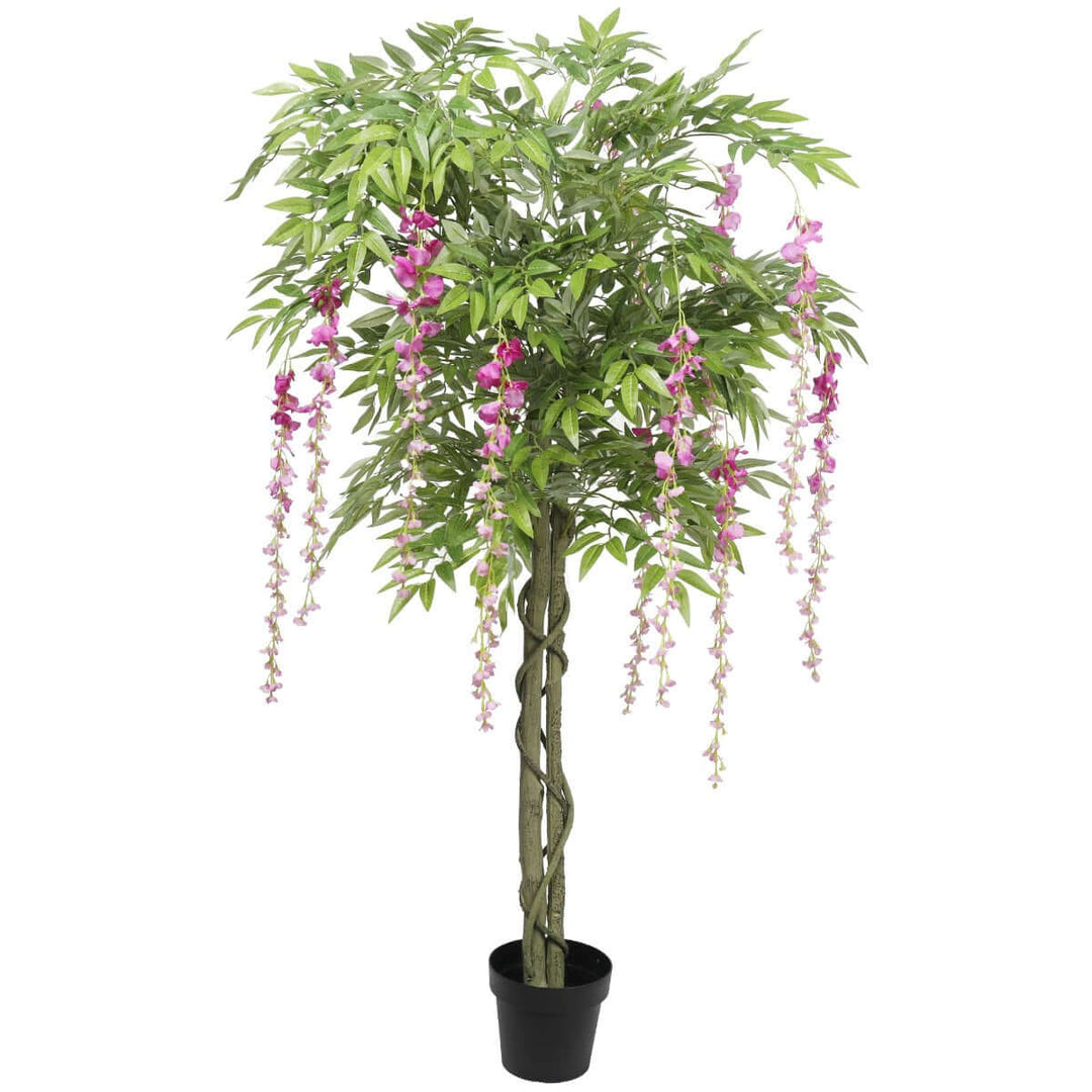 DSZ Product, feed-cond-new, feed-sl-DSZ Freight Payable, newPink Flowering Artificial Wisteria 180Cm - Premium Home & Garden > Artificial Plants > Artifical Flowers & Plants from DSZ ! Shop Online Buy Now at S & D's Value Store Family Business Best Customer ServiceDSZ Product, feed-cond-new, feed-sl-DSZ Freight Payable, new