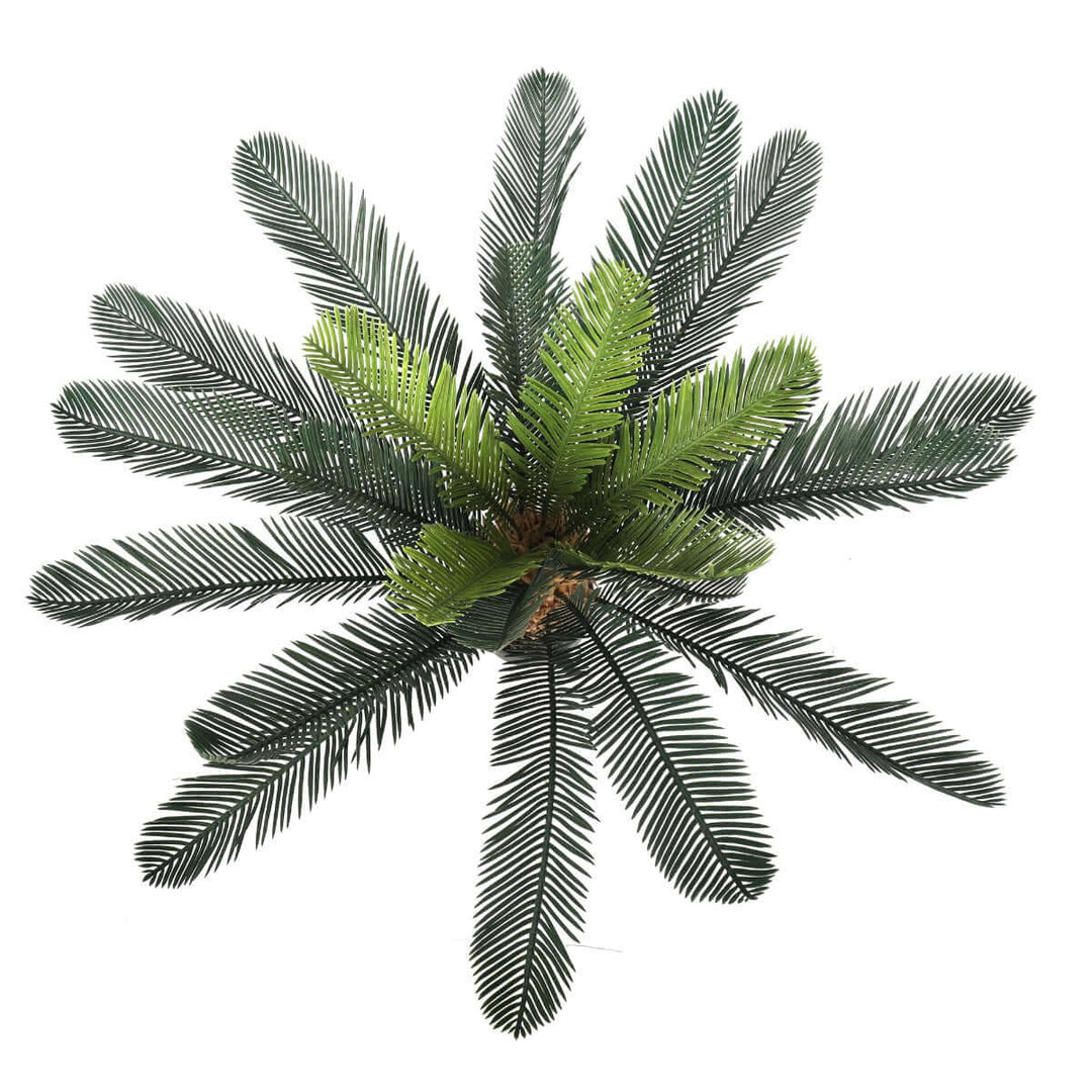 DSZ Product, feed-cond-new, feed-sl-DSZ Freight Payable, newArtificial Cyac (Cycad) Plant 60Cm - Premium Home & Garden > Garden Tools > Gardening Tools from DSZ ! Shop Online Buy Now at S & D's Value Store Family Business Best Customer ServiceDSZ Product, feed-cond-new, feed-sl-DSZ Freight Payable, new