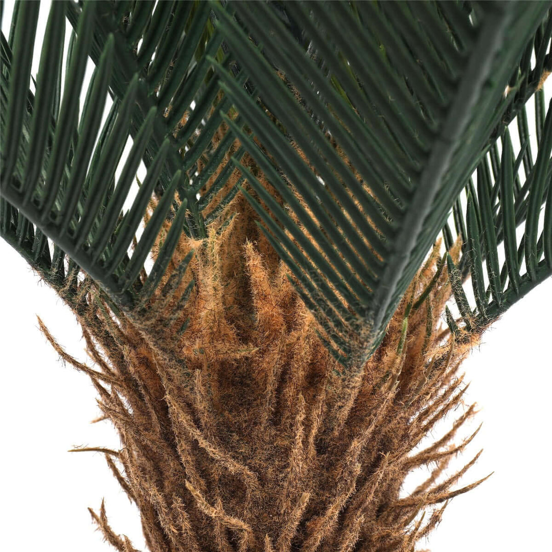 DSZ Product, feed-cond-new, feed-sl-DSZ Freight Payable, newArtificial Cyac (Cycad) Plant 60Cm - Premium Home & Garden > Garden Tools > Gardening Tools from DSZ ! Shop Online Buy Now at S & D's Value Store Family Business Best Customer ServiceDSZ Product, feed-cond-new, feed-sl-DSZ Freight Payable, new