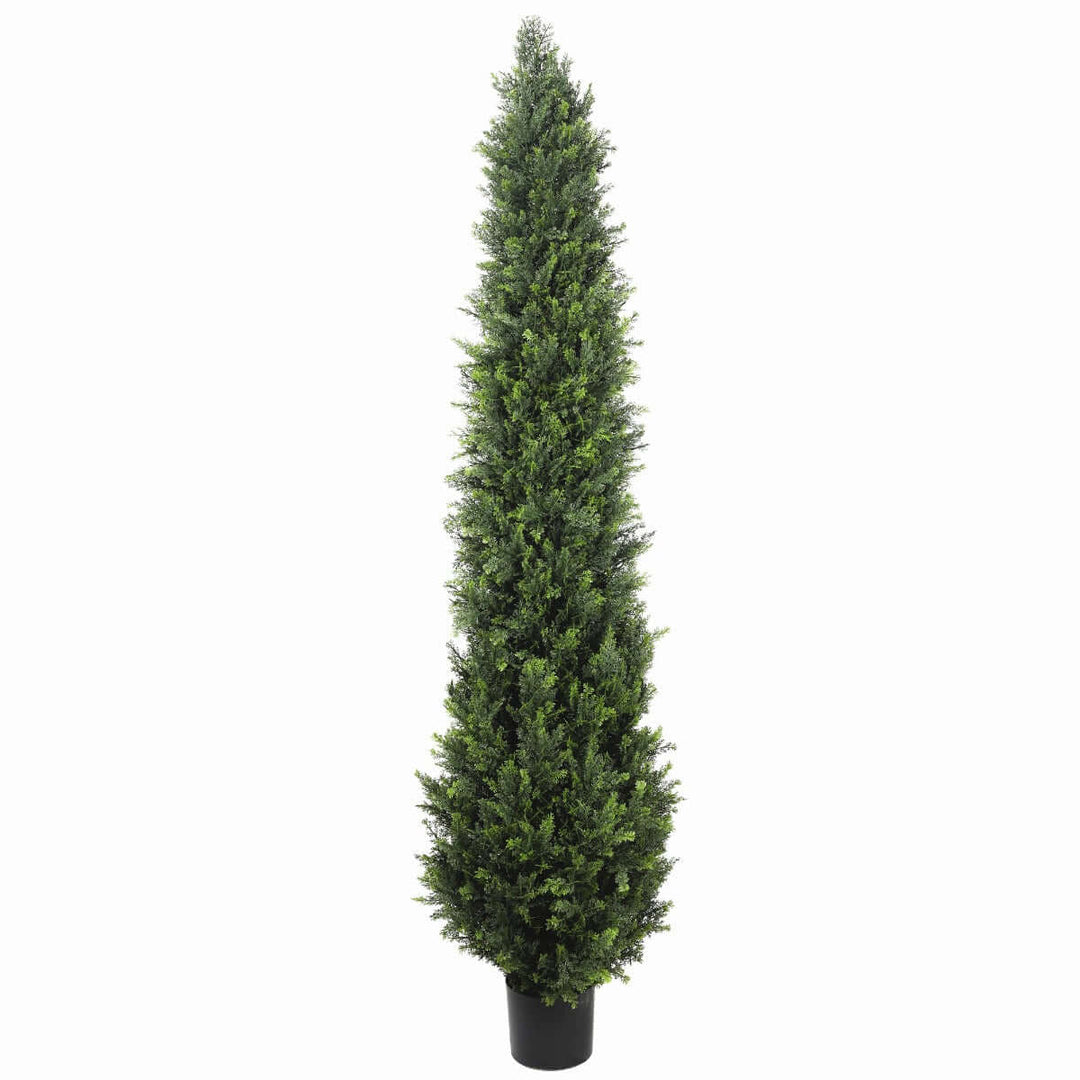 DSZ Product, feed-cond-new, feed-sl-DSZ Freight Payable, newUv Resistant Cypress Pine Tree 1.8M - Premium Home & Garden > Artificial Plants > Artificial Trees from DSZ ! Shop Online Buy Now at S & D's Value Store Family Business Best Customer ServiceDSZ Product, feed-cond-new, feed-sl-DSZ Freight Payable, new