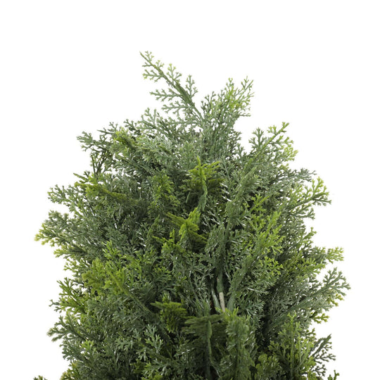 DSZ Product, feed-cond-new, feed-sl-DSZ Freight Payable, newUv Resistant Cypress Pine Tree 1.8M - Premium Home & Garden > Artificial Plants > Artificial Trees from DSZ ! Shop Online Buy Now at S & D's Value Store Family Business Best Customer ServiceDSZ Product, feed-cond-new, feed-sl-DSZ Freight Payable, new