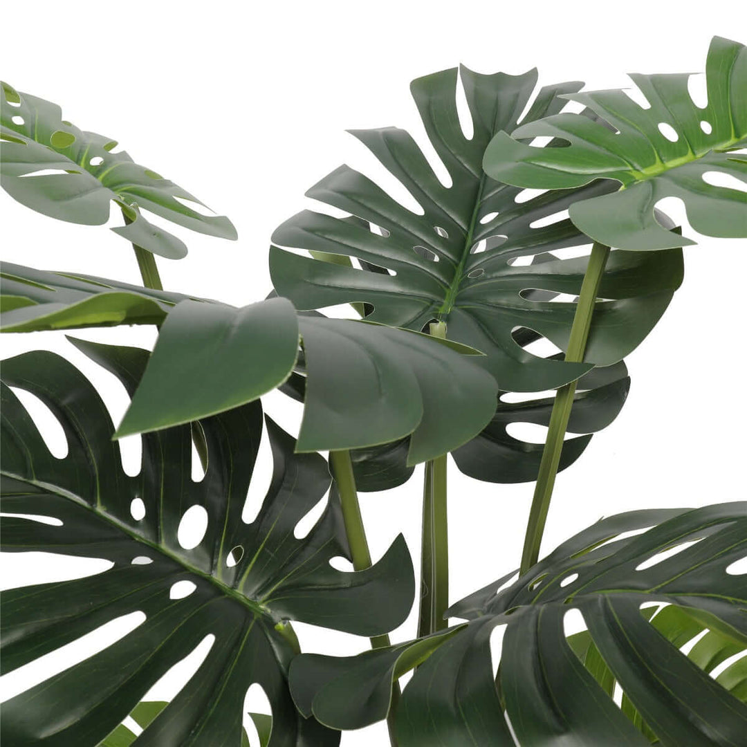 DSZ Product, feed-cond-new, feed-sl-DSZ Freight Payable, newSplit Philodendron (Split Leaf) 120Cm - Premium Home & Garden > Artificial Plants > Artifical Flowers & Plants from DSZ ! Shop Online Buy Now at S & D's Value Store Family Business Best Customer ServiceDSZ Product, feed-cond-new, feed-sl-DSZ Freight Payable, new