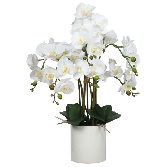 DSZ Product, feed-cond-new, feed-sl-DSZ Freight Payable, newLarge Multi - Stem White Potted Faux Orchid 65Cm - Premium Home & Garden > Artificial Plants > Artifical Flowers & Plants from DSZ ! Shop Online Buy Now at S & D's Value Store Family Business Best Customer ServiceDSZ Product, feed-cond-new, feed-sl-DSZ Freight Payable, new