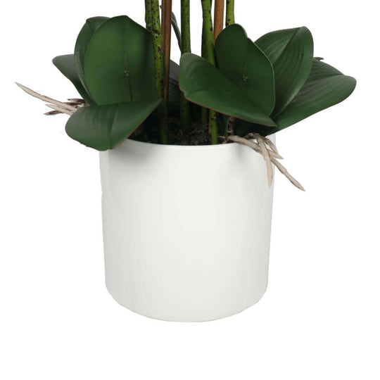 DSZ Product, feed-cond-new, feed-sl-DSZ Freight Payable, newLarge Multi - Stem White Potted Faux Orchid 65Cm - Premium Home & Garden > Artificial Plants > Artifical Flowers & Plants from DSZ ! Shop Online Buy Now at S & D's Value Store Family Business Best Customer ServiceDSZ Product, feed-cond-new, feed-sl-DSZ Freight Payable, new