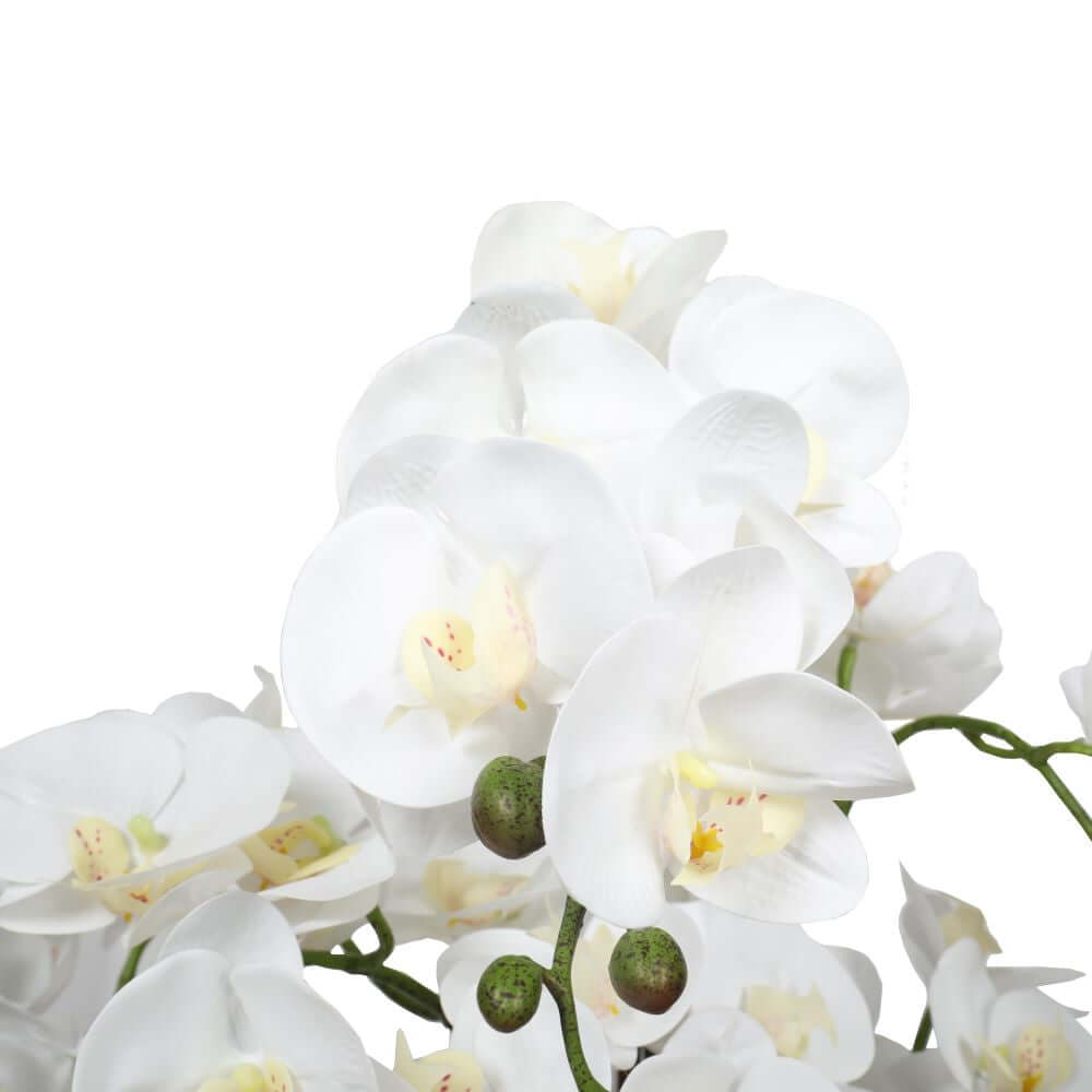 DSZ Product, feed-cond-new, feed-sl-DSZ Freight Payable, newLarge Multi - Stem White Potted Faux Orchid 65Cm - Premium Home & Garden > Artificial Plants > Artifical Flowers & Plants from DSZ ! Shop Online Buy Now at S & D's Value Store Family Business Best Customer ServiceDSZ Product, feed-cond-new, feed-sl-DSZ Freight Payable, new