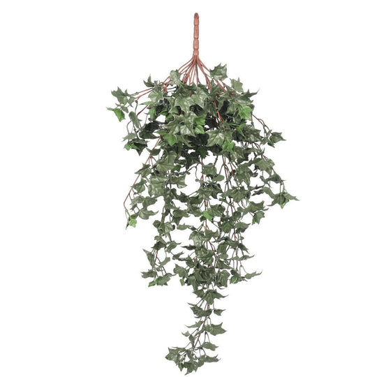 DSZ Product, feed-cond-new, feed-sl-DSZ Freight Payable, newHanging English Ivy Bush 80Cm Uv Resistant - Premium Home & Garden > Artificial Plants > Artifical Flowers & Plants from DSZ ! Shop Online Buy Now at S & D's Value Store Family Business Best Customer ServiceDSZ Product, feed-cond-new, feed-sl-DSZ Freight Payable, new