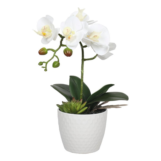 DSZ Product, feed-cond-new, feed-sl-DSZ Freight Payable, newPotted Single Stem White Phalaenopsis Orchid With Decorative Pot 35Cm - Premium Home & Garden > Artificial Plants > Artifical Flowers & Plants from DSZ ! Shop Online Buy Now at S & D's Value Store Family Business Best Customer ServiceDSZ Product, feed-cond-new, feed-sl-DSZ Freight Payable, new