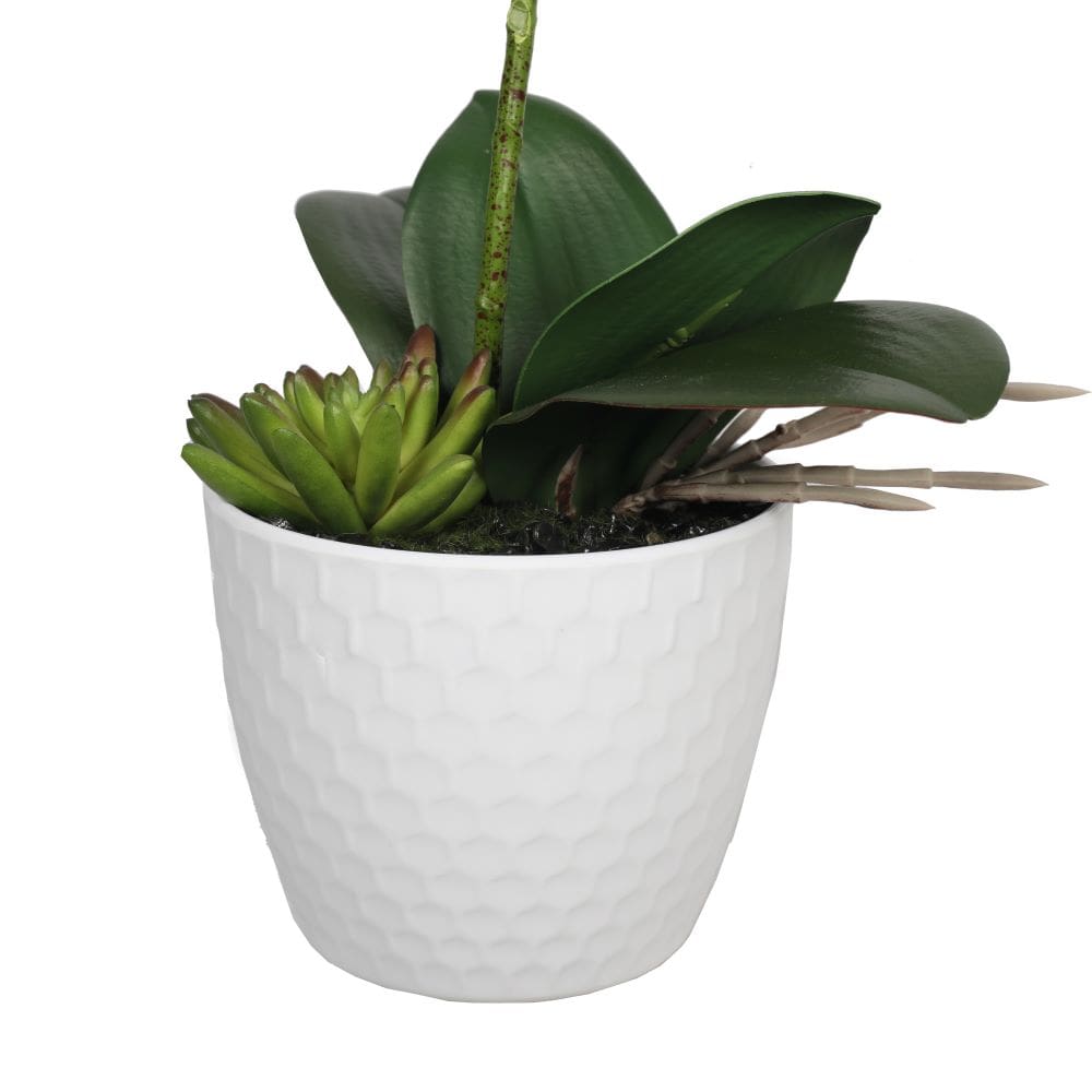 DSZ Product, feed-cond-new, feed-sl-DSZ Freight Payable, newPotted Single Stem White Phalaenopsis Orchid With Decorative Pot 35Cm - Premium Home & Garden > Artificial Plants > Artifical Flowers & Plants from DSZ ! Shop Online Buy Now at S & D's Value Store Family Business Best Customer ServiceDSZ Product, feed-cond-new, feed-sl-DSZ Freight Payable, new