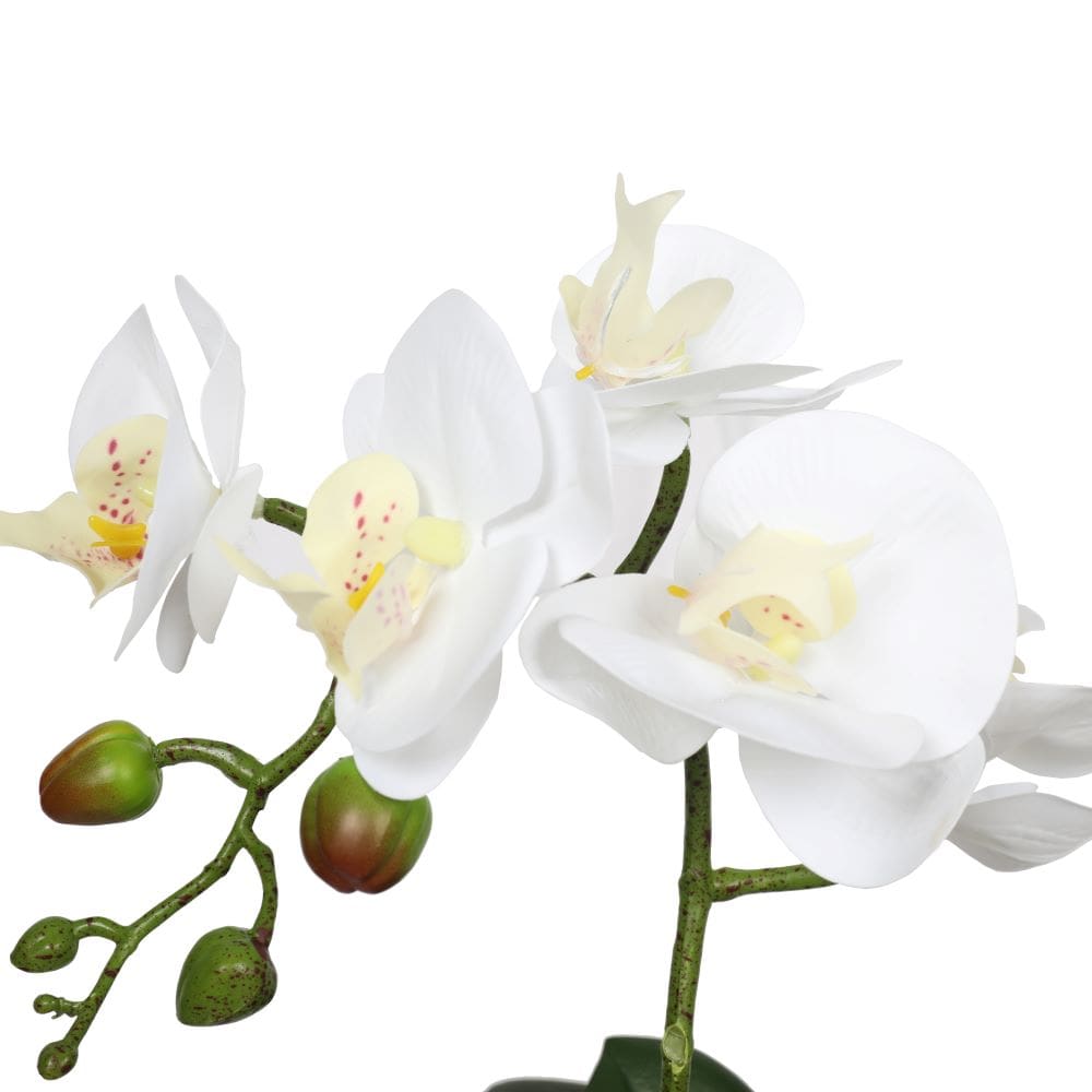 DSZ Product, feed-cond-new, feed-sl-DSZ Freight Payable, newPotted Single Stem White Phalaenopsis Orchid With Decorative Pot 35Cm - Premium Home & Garden > Artificial Plants > Artifical Flowers & Plants from DSZ ! Shop Online Buy Now at S & D's Value Store Family Business Best Customer ServiceDSZ Product, feed-cond-new, feed-sl-DSZ Freight Payable, new