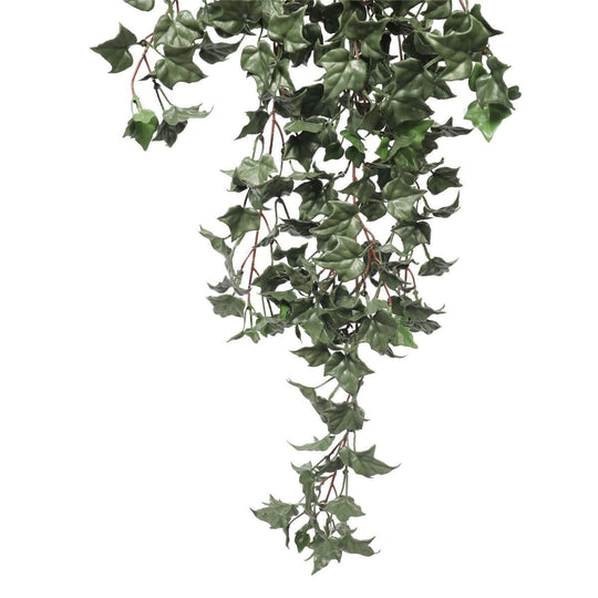 DSZ Product, feed-cond-new, feed-sl-DSZ Freight Payable, newHanging English Ivy Bush 80Cm Uv Resistant - Premium Home & Garden > Artificial Plants > Artifical Flowers & Plants from DSZ ! Shop Online Buy Now at S & D's Value Store Family Business Best Customer ServiceDSZ Product, feed-cond-new, feed-sl-DSZ Freight Payable, new