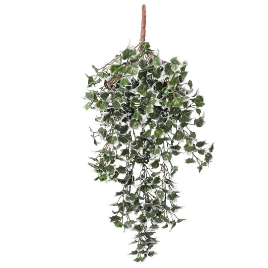 DSZ Product, feed-cond-new, feed-sl-DSZ Freight Payable, newMixed Green And White Tipped Ivy Bush 80Cm Uv Resistant - Premium Home & Garden > Artificial Plants > Artifical Flowers & Plants from DSZ ! Shop Online Buy Now at S & D's Value Store Family Business Best Customer ServiceDSZ Product, feed-cond-new, feed-sl-DSZ Freight Payable, new