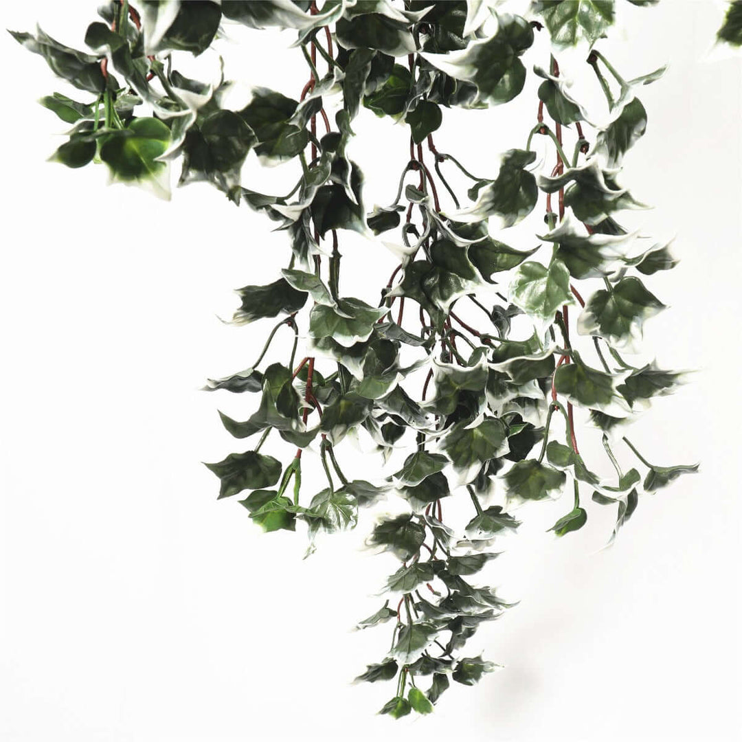 DSZ Product, feed-cond-new, feed-sl-DSZ Freight Payable, newMixed Green And White Tipped Ivy Bush 80Cm Uv Resistant - Premium Home & Garden > Artificial Plants > Artifical Flowers & Plants from DSZ ! Shop Online Buy Now at S & D's Value Store Family Business Best Customer ServiceDSZ Product, feed-cond-new, feed-sl-DSZ Freight Payable, new