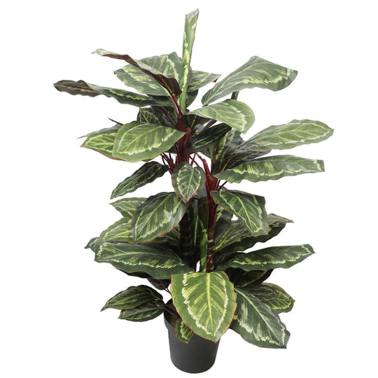 DSZ Product, feed-cond-new, feed-sl-DSZ Freight Payable, newArtificial Wide Leaf Cordyline Plant 90Cm - Premium Home & Garden > Artificial Plants > Artifical Flowers & Plants from DSZ ! Shop Online Buy Now at S & D's Value Store Family Business Best Customer ServiceDSZ Product, feed-cond-new, feed-sl-DSZ Freight Payable, new