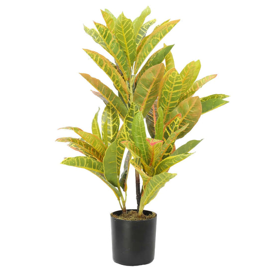 DSZ Product, feed-cond-new, feed-sl-DSZ Freight Payable, newArtificial Potted Flaming Zebra (Codiaeum Variegatum / Crotons) 55Cm - Premium Home & Garden > Artificial Plants > Artifical Flowers & Plants from DSZ ! Shop Online Buy Now at S & D's Value Store Family Business Best Customer ServiceDSZ Product, feed-cond-new, feed-sl-DSZ Freight Payable, new