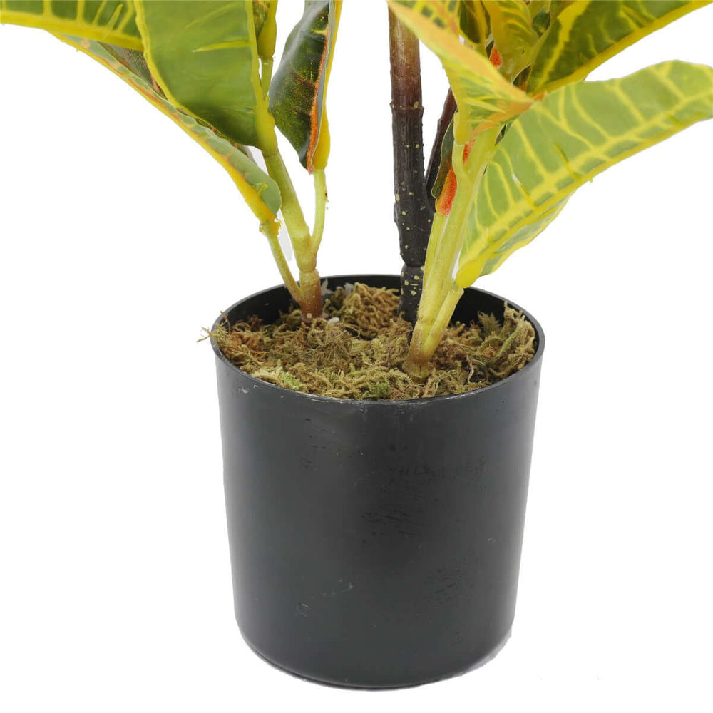 DSZ Product, feed-cond-new, feed-sl-DSZ Freight Payable, newArtificial Potted Flaming Zebra (Codiaeum Variegatum / Crotons) 55Cm - Premium Home & Garden > Artificial Plants > Artifical Flowers & Plants from DSZ ! Shop Online Buy Now at S & D's Value Store Family Business Best Customer ServiceDSZ Product, feed-cond-new, feed-sl-DSZ Freight Payable, new