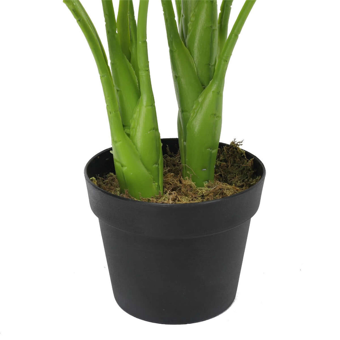 DSZ Product, feed-cond-new, feed-sl-DSZ Freight Payable, newArtificial Potted Taro Plant / Elephant Ear 70Cm - Premium Home & Garden > Artificial Plants > Artificial Trees from DSZ ! Shop Online Buy Now at S & D's Value Store Family Business Best Customer ServiceDSZ Product, feed-cond-new, feed-sl-DSZ Freight Payable, new