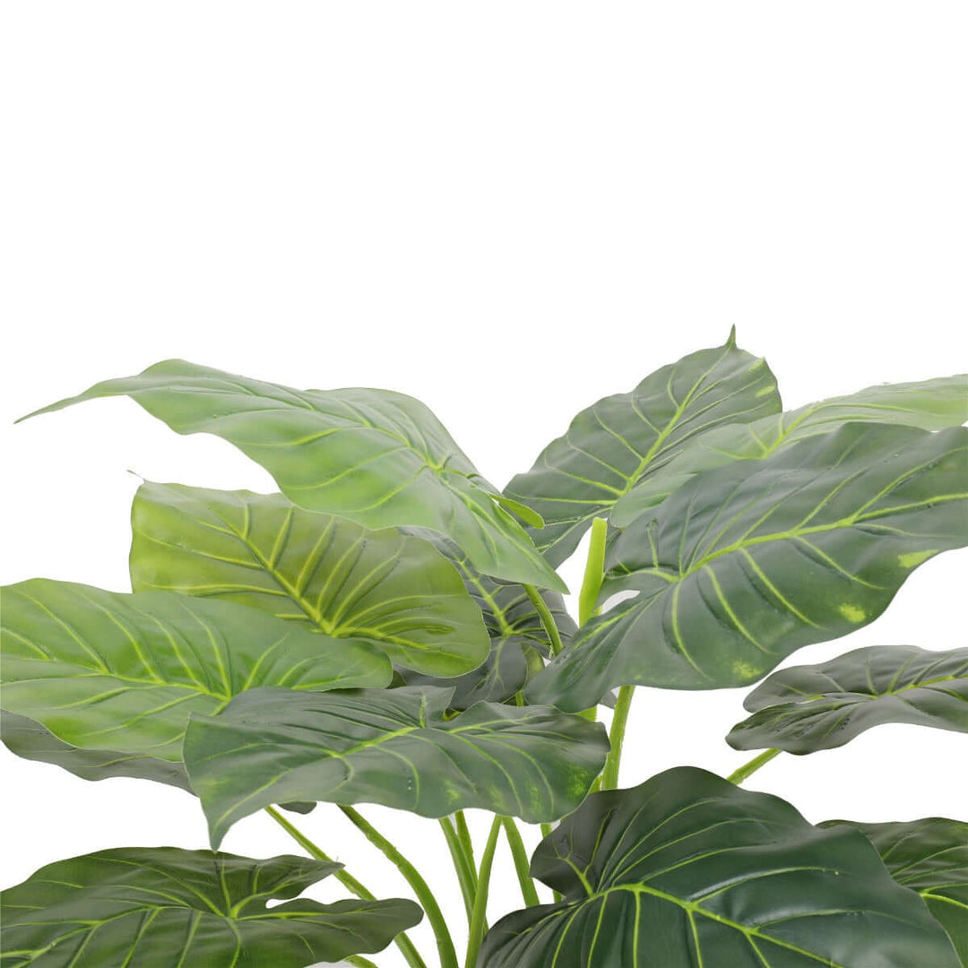 DSZ Product, feed-cond-new, feed-sl-DSZ Freight Payable, newArtificial Potted Taro Plant / Elephant Ear 70Cm - Premium Home & Garden > Artificial Plants > Artificial Trees from DSZ ! Shop Online Buy Now at S & D's Value Store Family Business Best Customer ServiceDSZ Product, feed-cond-new, feed-sl-DSZ Freight Payable, new