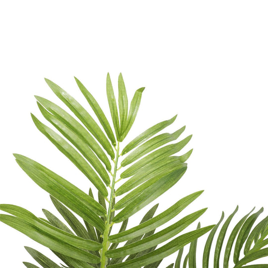 DSZ Product, feed-cond-new, feed-sl-DSZ Freight Payable, newArtificial Potted Areca Palm Tree 120Cm - Premium Home & Garden > Artificial Plants > Artifical Flowers & Plants from DSZ ! Shop Online Buy Now at S & D's Value Store Family Business Best Customer ServiceDSZ Product, feed-cond-new, feed-sl-DSZ Freight Payable, new