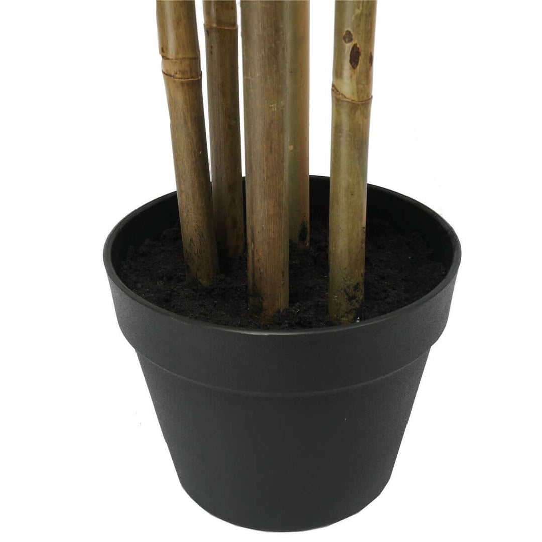 DSZ Product, feed-cond-new, feed-sl-DSZ Freight Payable, newPremium Artificial Real Touch Bamboo 150Cm - Premium Home & Garden > Artificial Plants > Artificial Trees from DSZ ! Shop Online Buy Now at S & D's Value Store Family Business Best Customer ServiceDSZ Product, feed-cond-new, feed-sl-DSZ Freight Payable, new