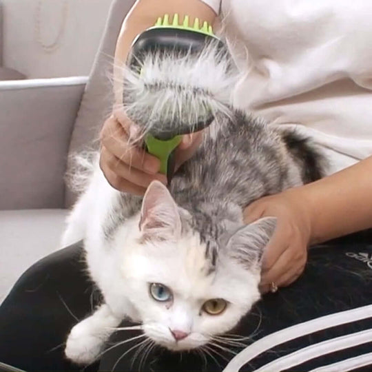 Person using Floofi 5in1 pet grooming set brush on a cat with unique eye colors, showcasing affordable DIY grooming.